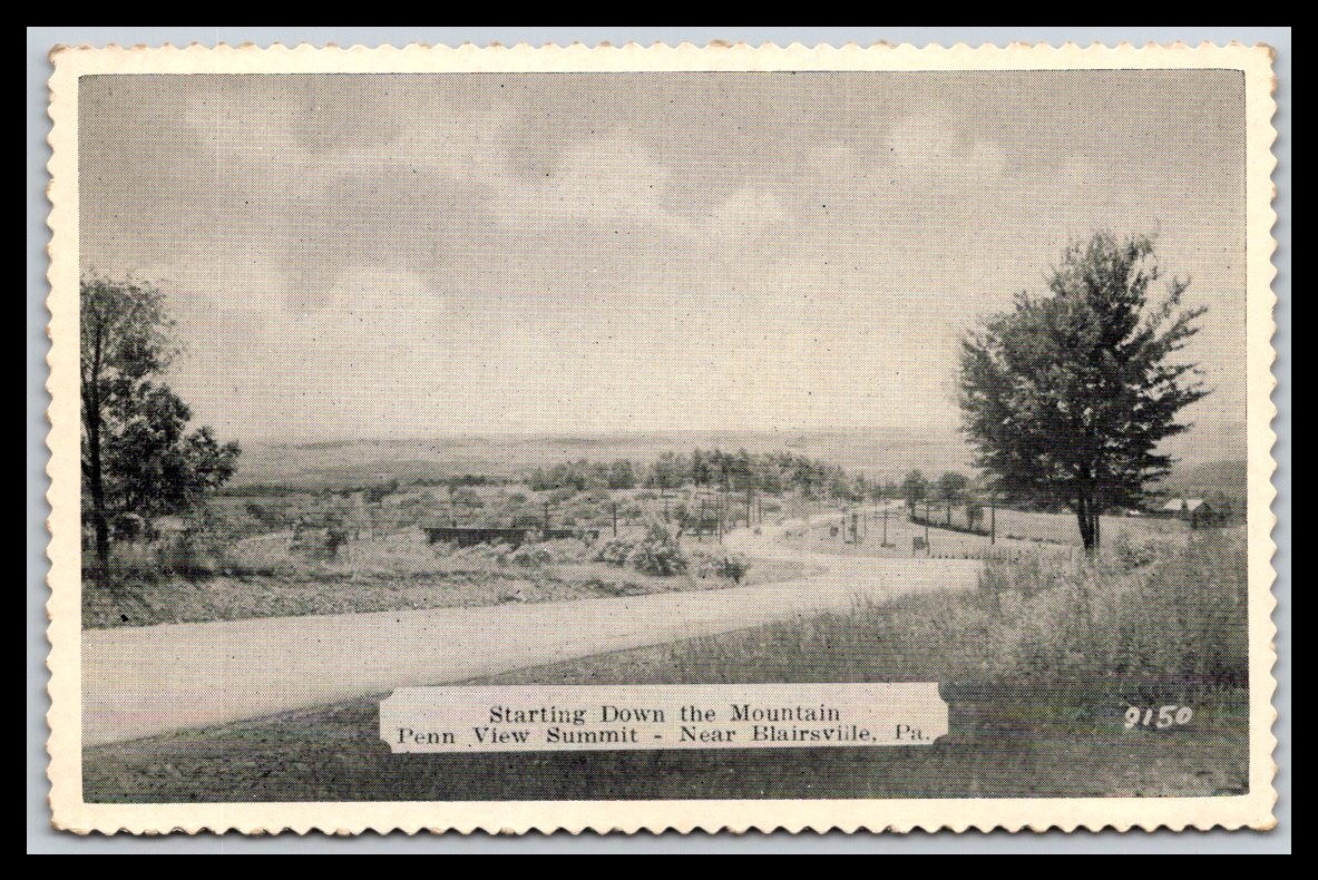 Starting Down the Mountain Penn View Summit Near Blairsville PA Old Postcard G06