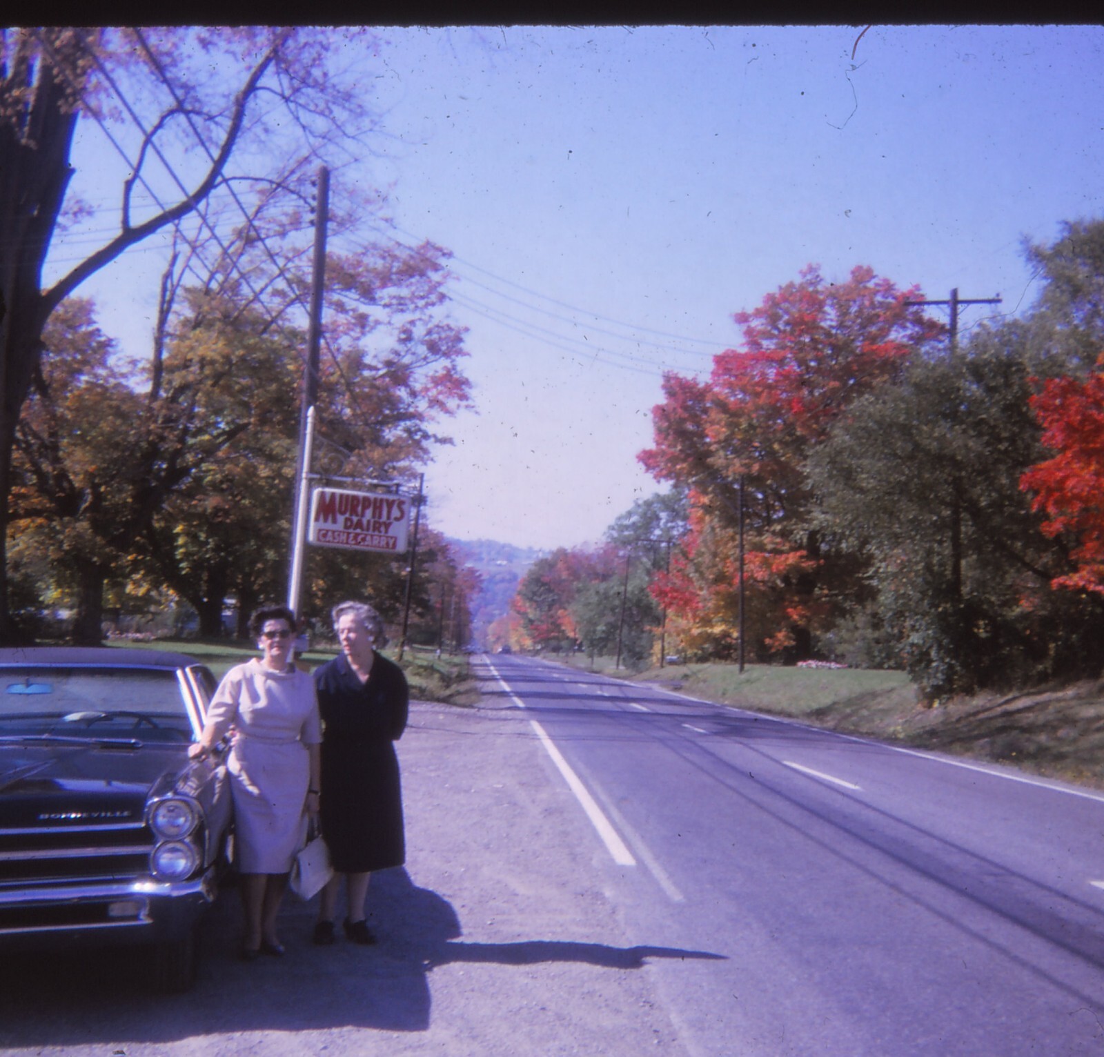 Vintage Photo Film Slide 1960's New York Country Road Fall Murphy's Dairy Vintage Photo Film Slide 1960's New York Country Road Fall Murphy's Dairy