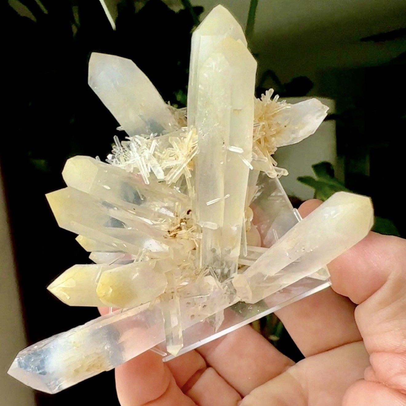 Rare Halloysite-Included Mango Quartz – La Belleza, Santander, Colombia Rare Halloysite-Included Mango Quartz – La Belleza, Santander, Colombia
