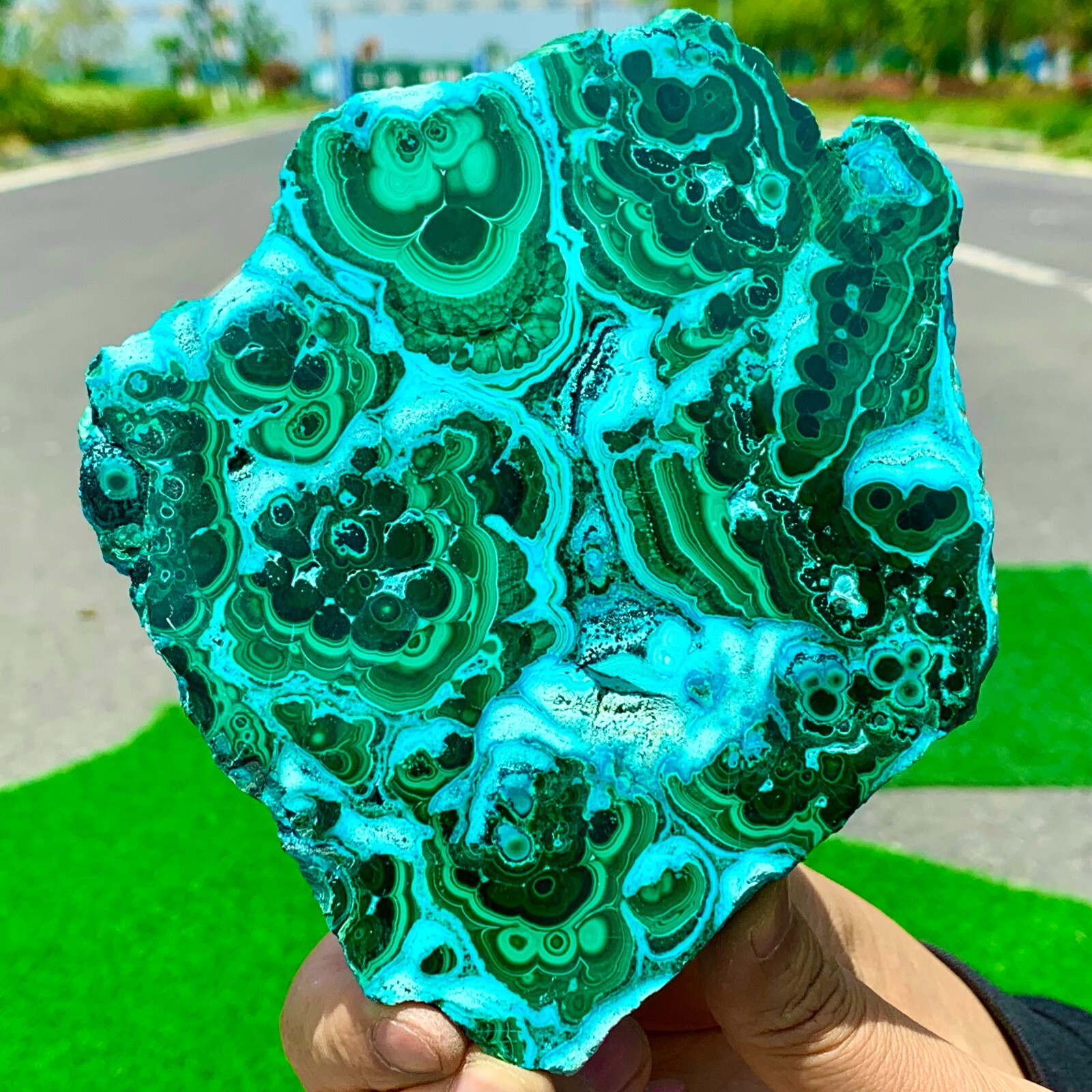 497G Natural Chrysocolla/Malachite transparent cluster rough Crystal sample