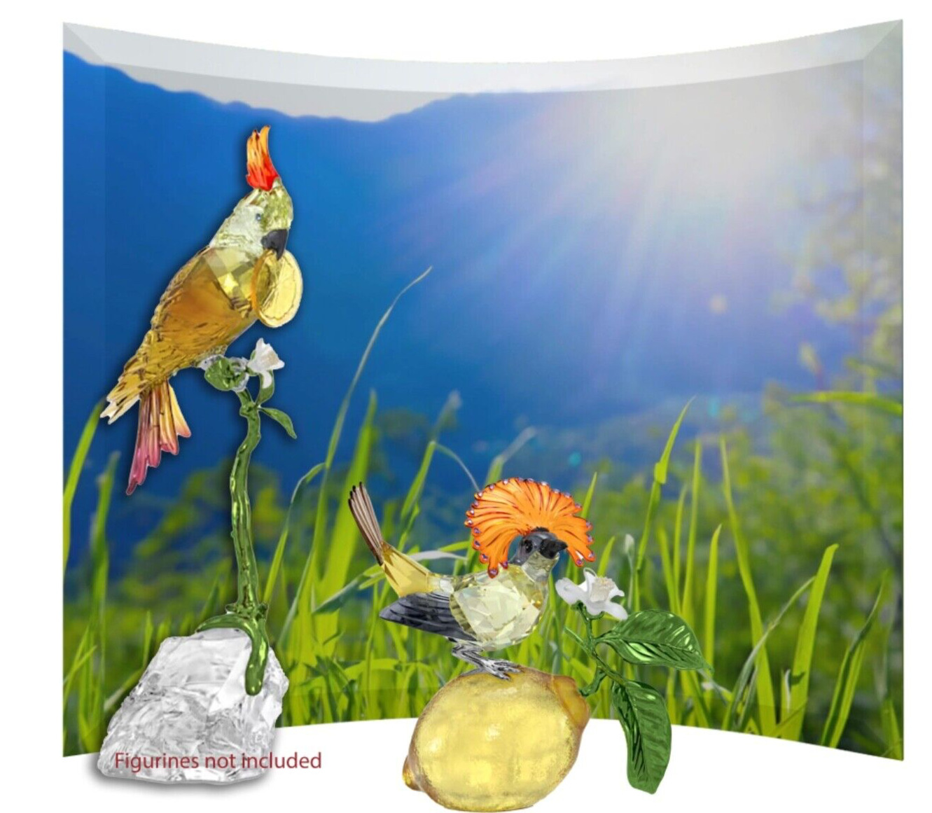 Swarovski Scs Bird  Flower Crystal display large
