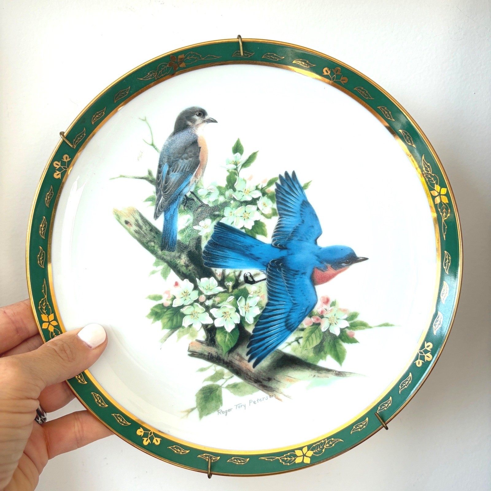 Danbury Mint Roger Tory Peterson Bluebirds Collector Plate Limited Edition 8\ Danbury Mint Roger Tory Peterson Bluebirds Collector Plate Limited Edition 8\