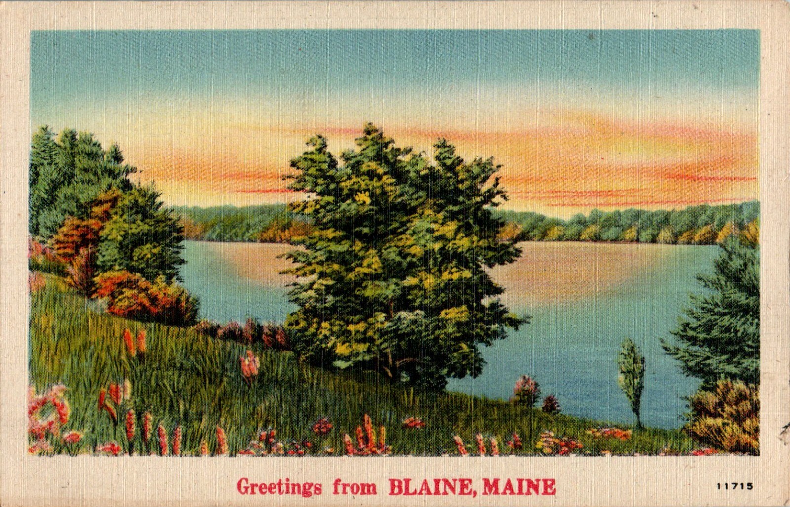 Greetings from Blaine, Maine ME Postcard Greetings from Blaine, Maine ME Postcard
