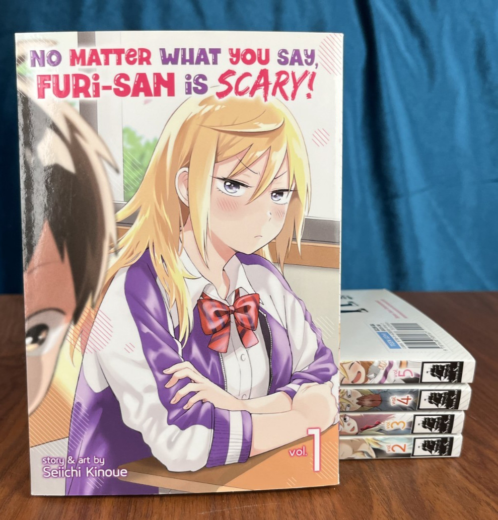 No Matter What You Say, Furi-san is Scary Vol 1-5 English Manga