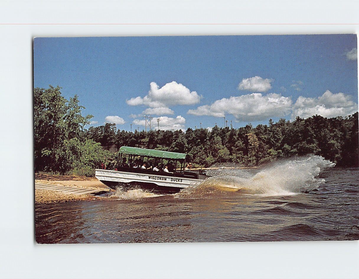 Duck Entering Wisconsin River Wisconsin Dells Wisconsin USA Q-46039
