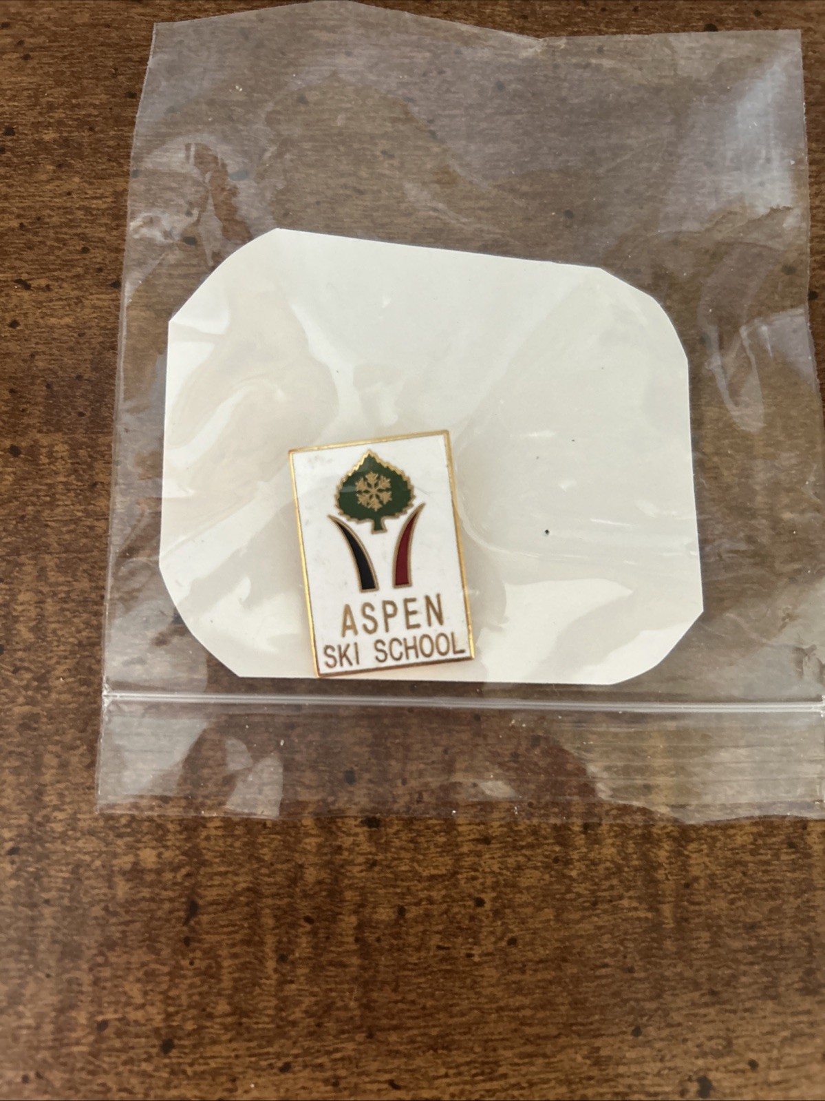 Vtg Aspen Ski School Leaf Snowflake Logo Enamel Lapel Pin White Gold