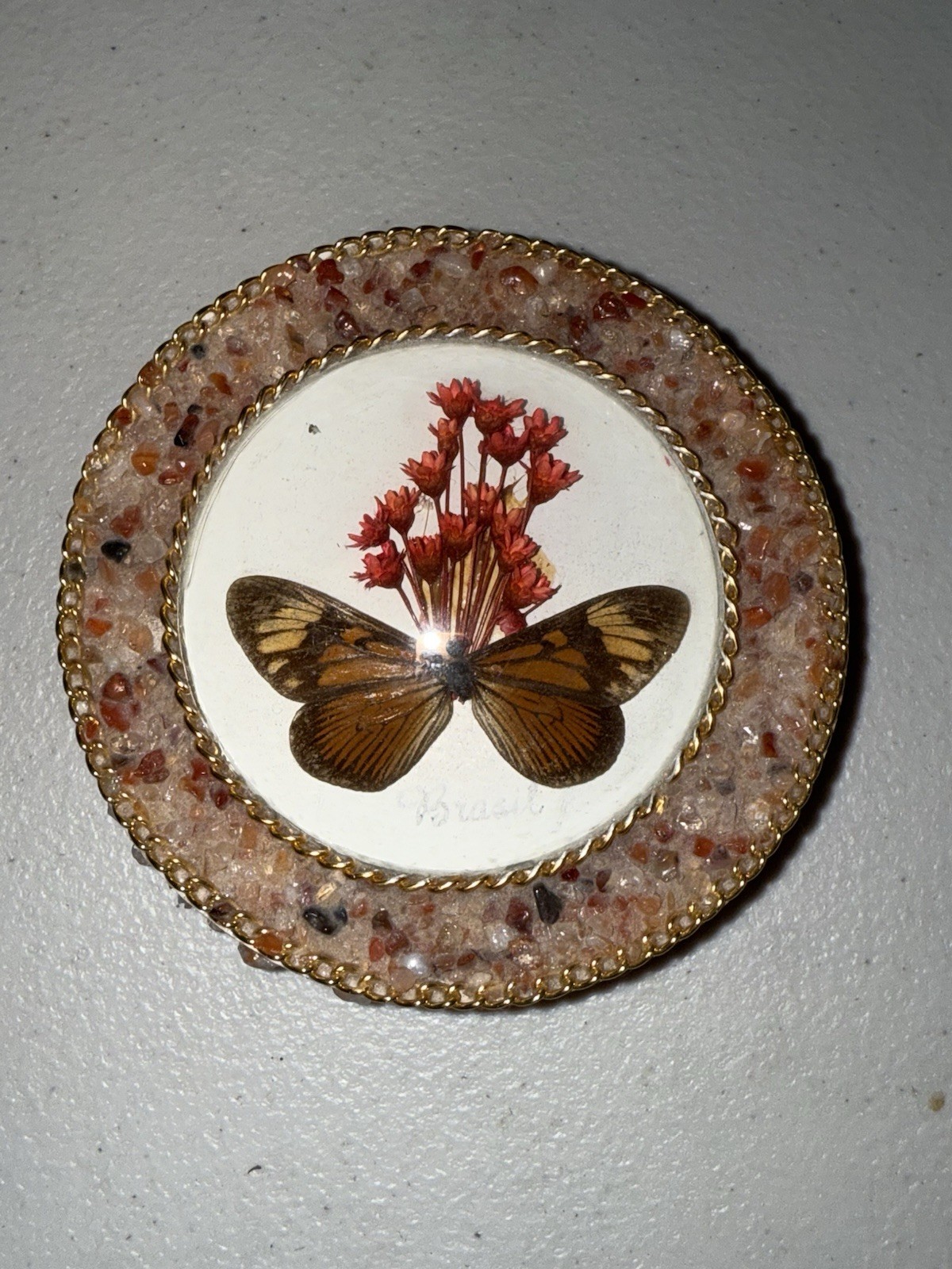 Vintage Real Butterfly Taxidermy Round Convex Glass Stone Box Brazil Brasil