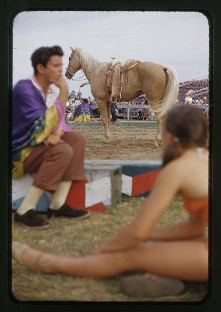 Photo:Ringling Bros Barnum Bailey Circus Rehearsal White Horse 1960s