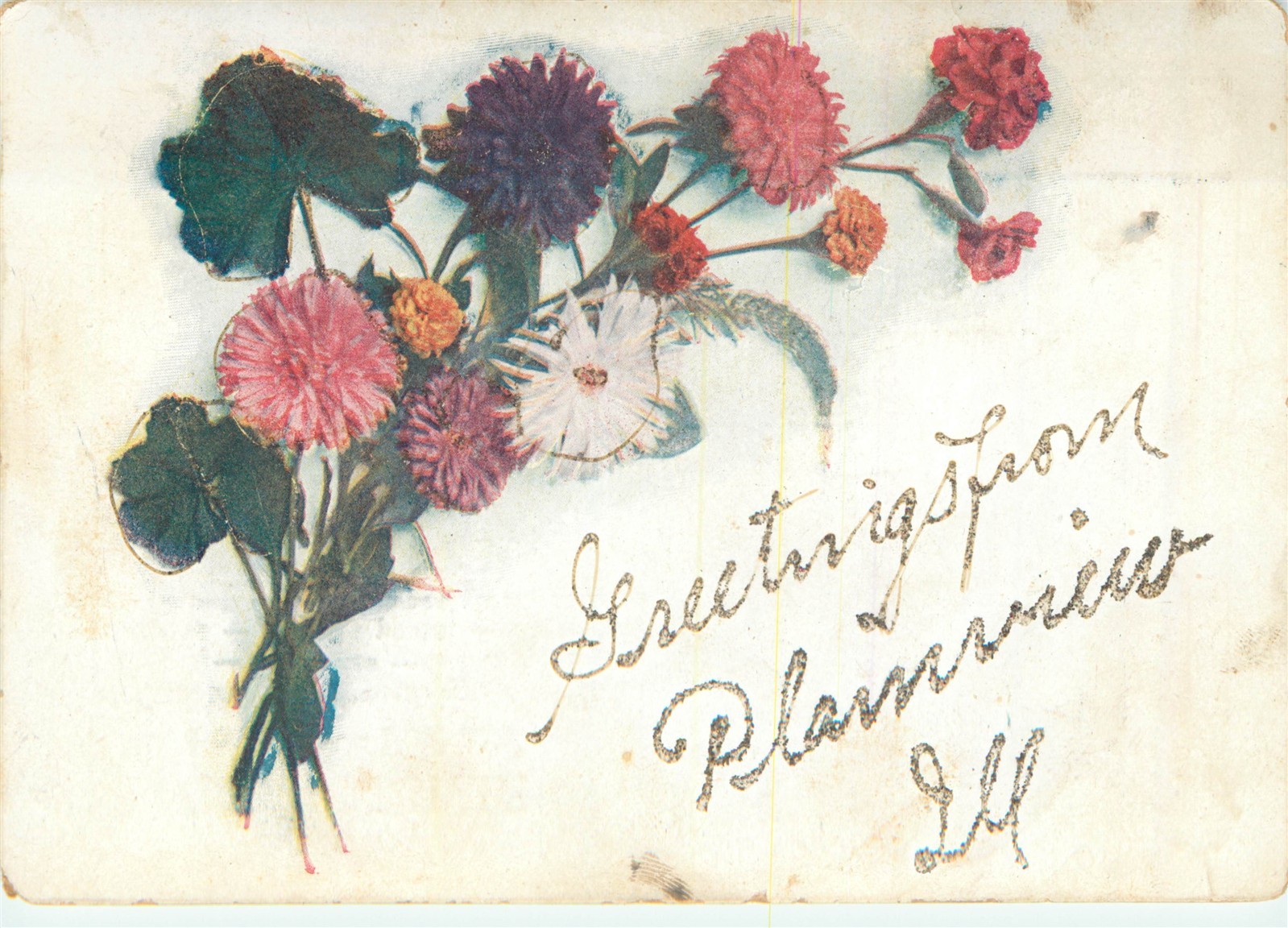 IL Illinois Plainview Greetings from Glitter Embossed ca 1907 Postcard IL Illinois Plainview Greetings from Glitter Embossed ca 1907 Postcard