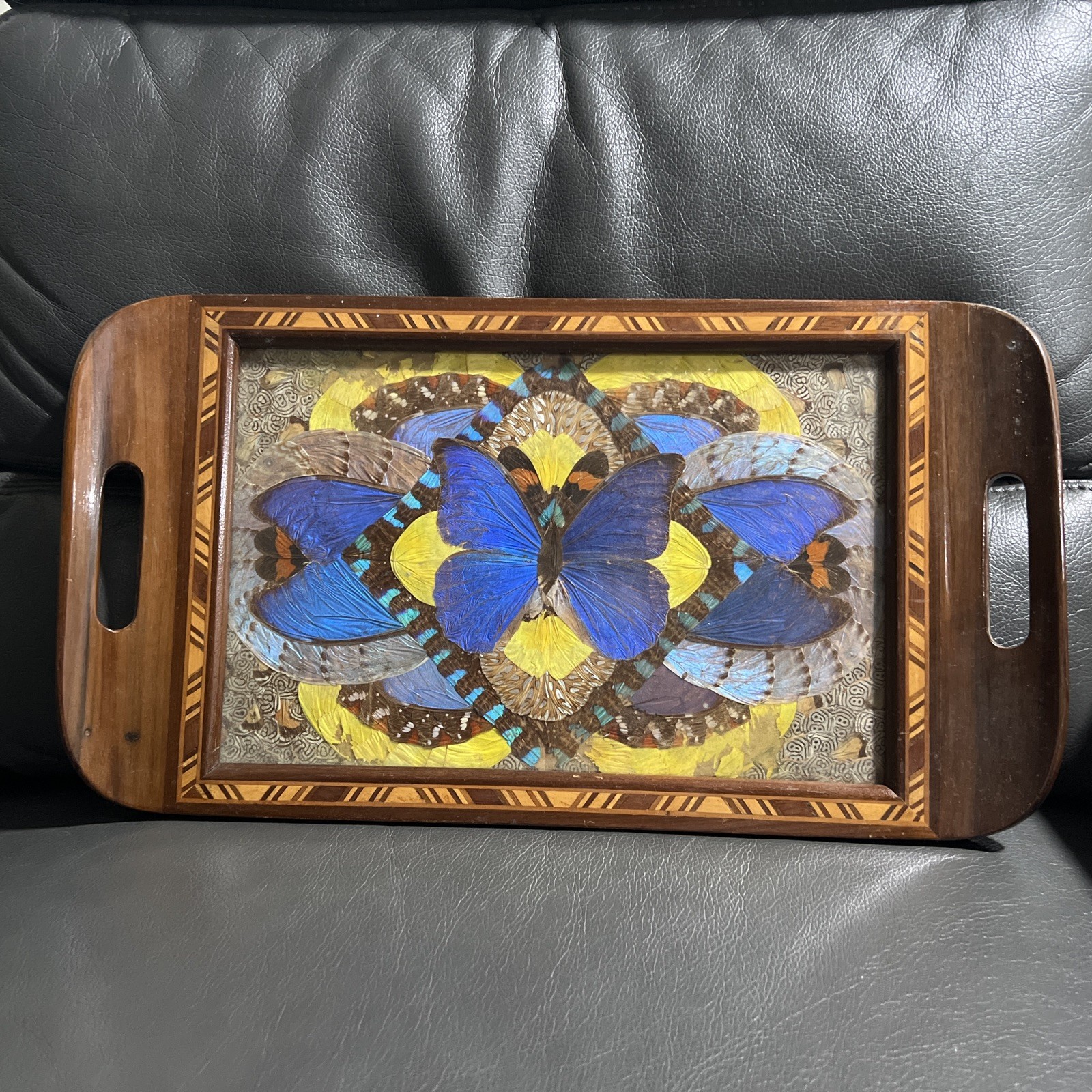 Vintage Butterfly Wings Laminated Art Wood Tray Vintage Butterfly Wings Laminated Art Wood Tray