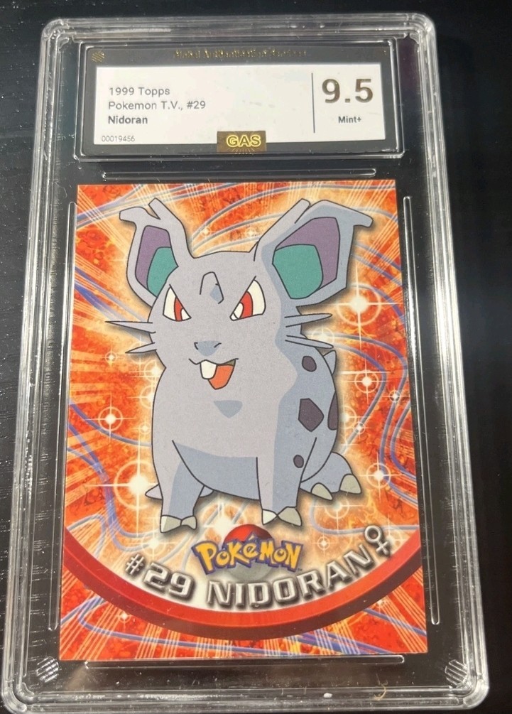 1999 Topps Pokemon TV Animation Edition Nidoran #29 GAS 9.5