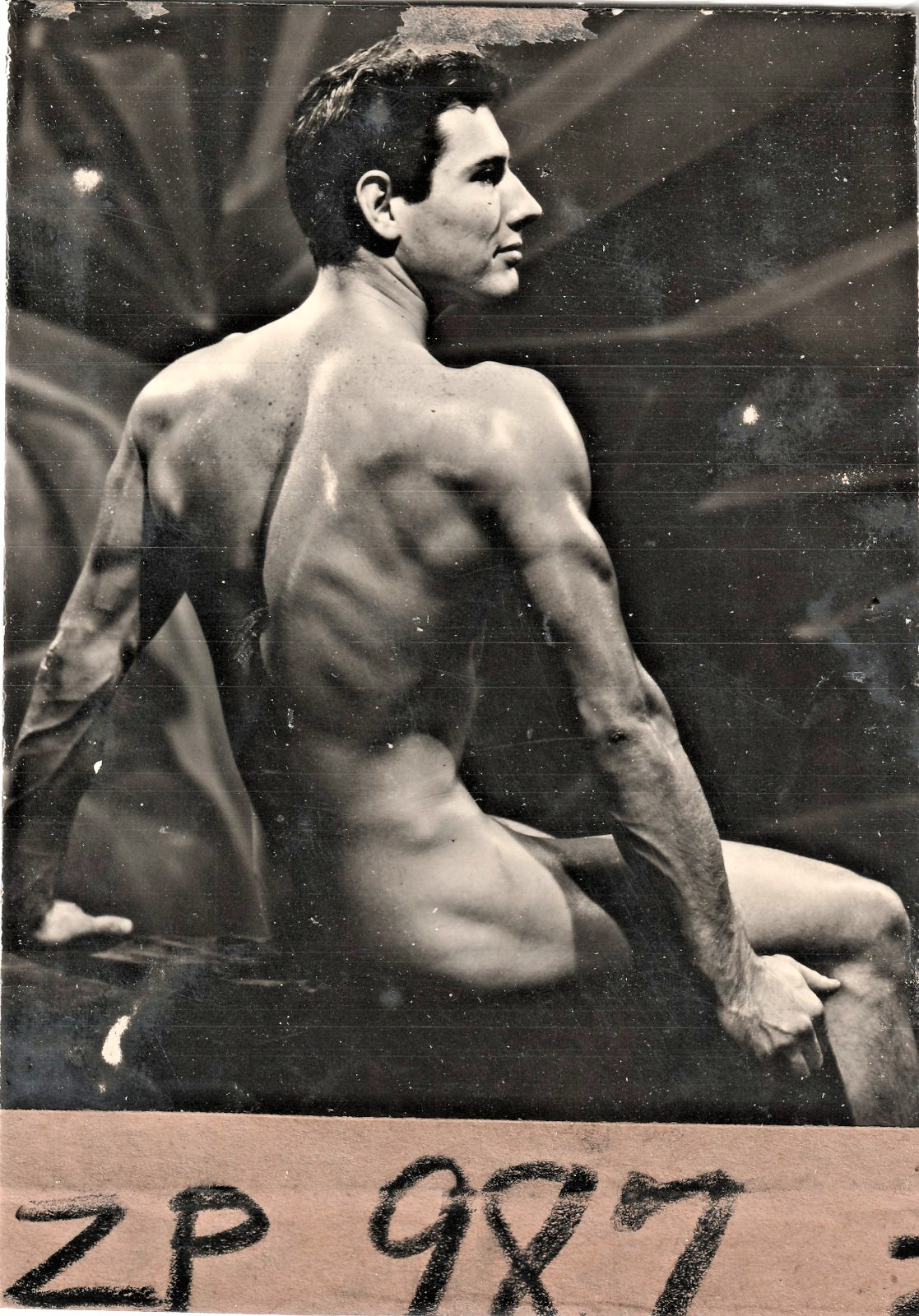 Gay Interest - Vintage   Male Physique Photos  ATHLETIC MODEL GUILD  3.5 x 5\