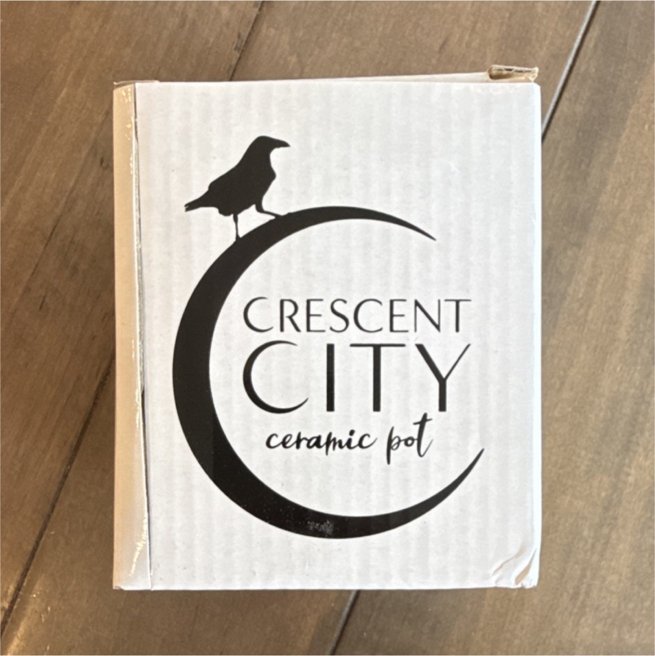 FairyLoot Crescent City Ceramic Pot Collectible 
