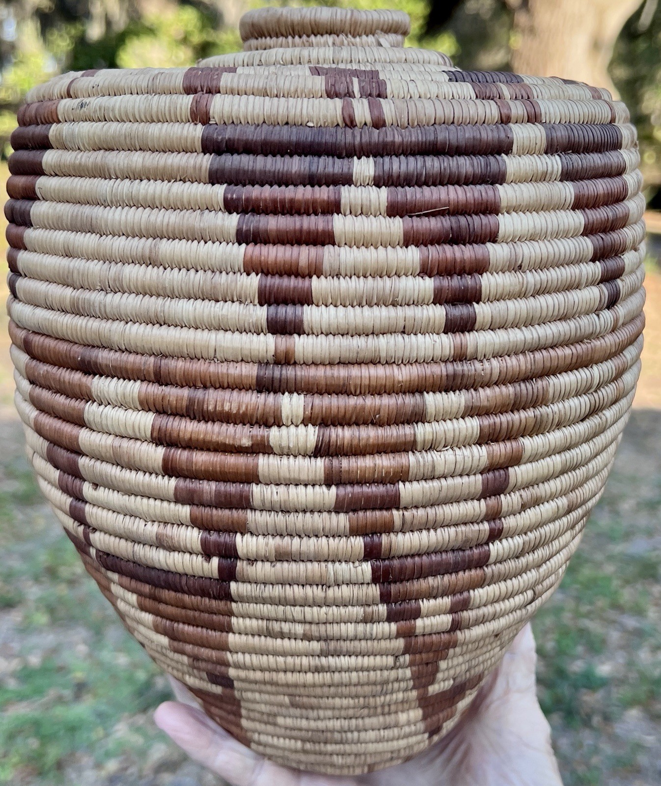 Tohono O\'odham (Papago) Native American Coiled Olla Basket 10\ Tohono O\'odham (Papago) Native American Coiled Olla Basket 10\