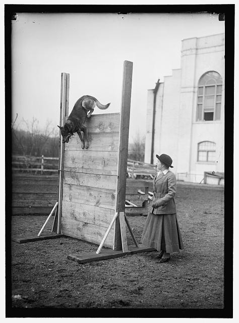 Photo:Society Circus Dog Jumping Woman 1910s Entertainment United States