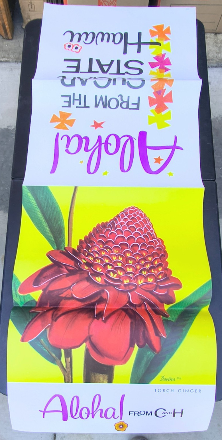David Pollack Aloha Hawaii & Frank Davina Torch Ginger Hanging Add Store Posters David Pollack Aloha Hawaii & Frank Davina Torch Ginger Hanging Add Store Posters