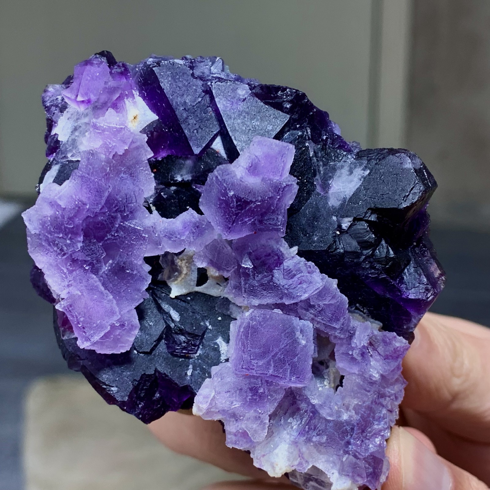 198G Rare transparent purple cubic fluorite mineral crystal sample/China