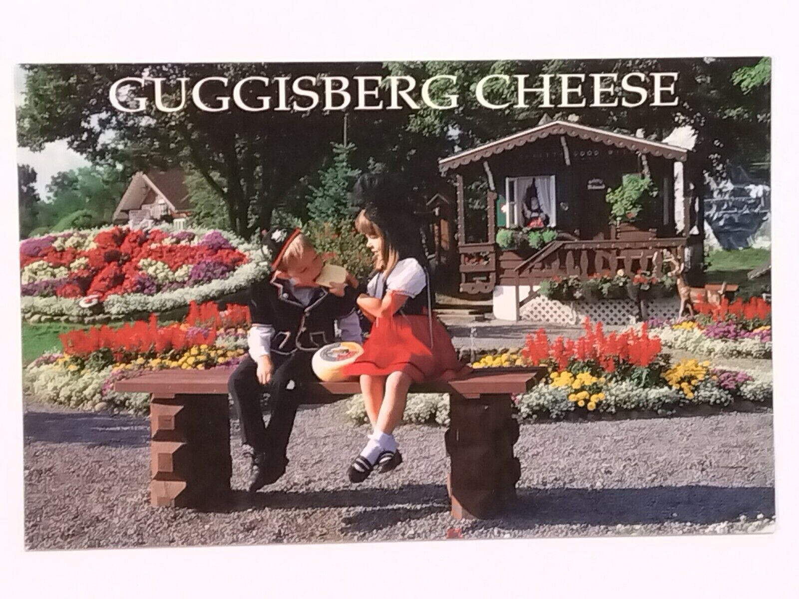 Greetings From Doughty Valley Guggisberg Cheese Baby Swiss Original Postcard Kid