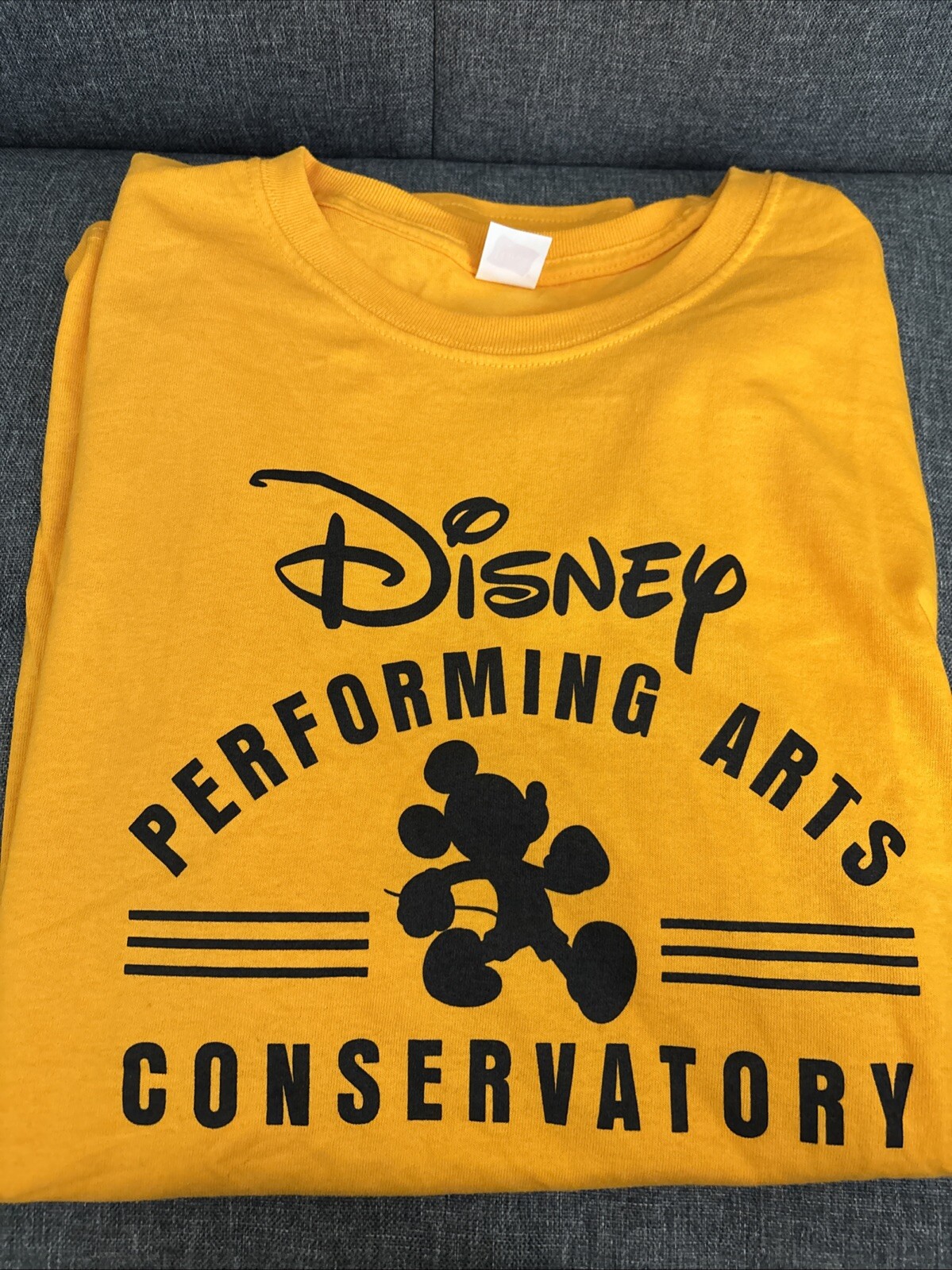 Disney Performing Arts Conservatory T Shirt L Disney Performing Arts Conservatory T Shirt L