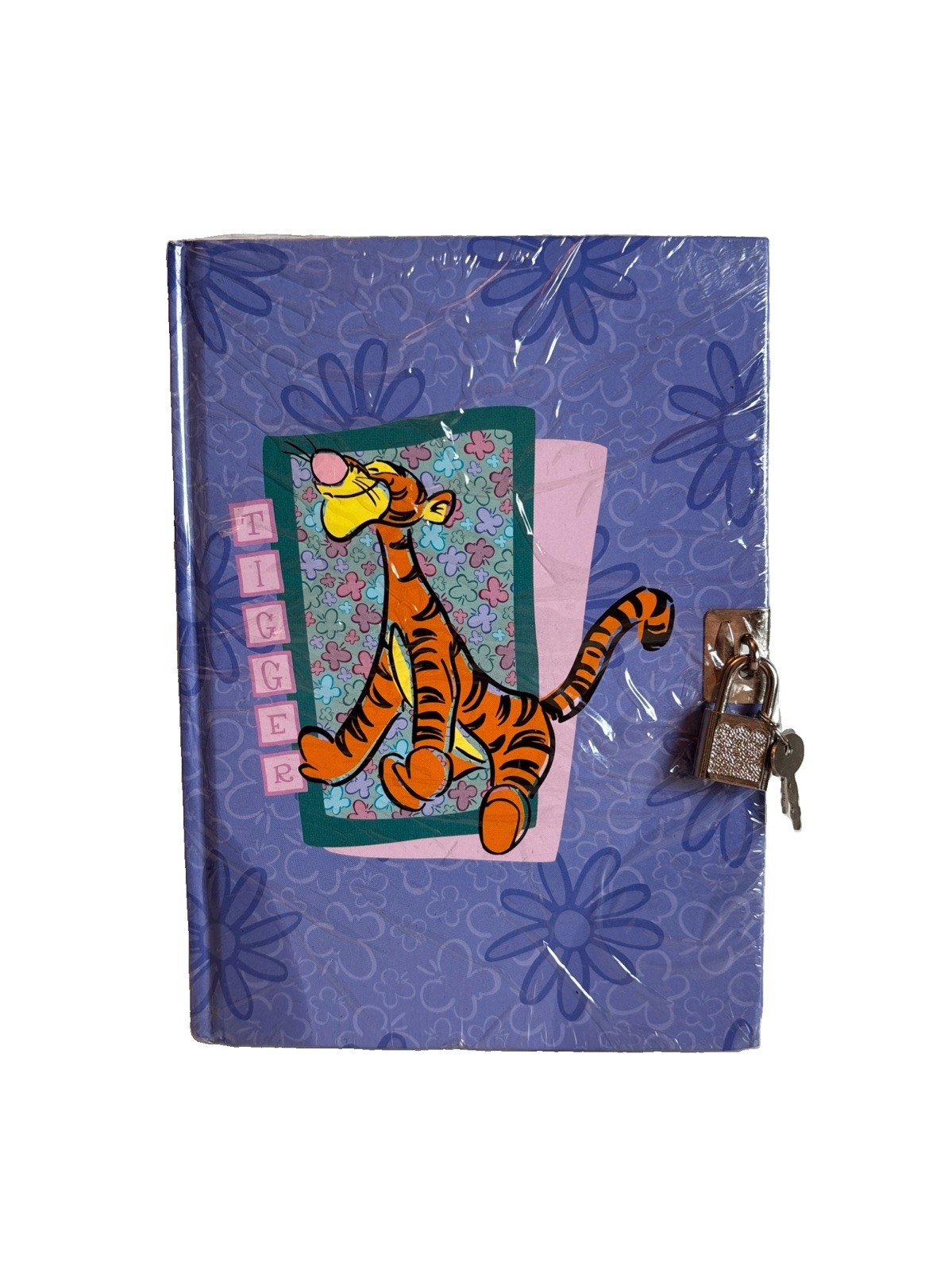 Vintage 1999 Disney Tigger Winnie The Pooh Diary Journal Lock Brand New 90s Vintage 1999 Disney Tigger Winnie The Pooh Diary Journal Lock Brand New 90s