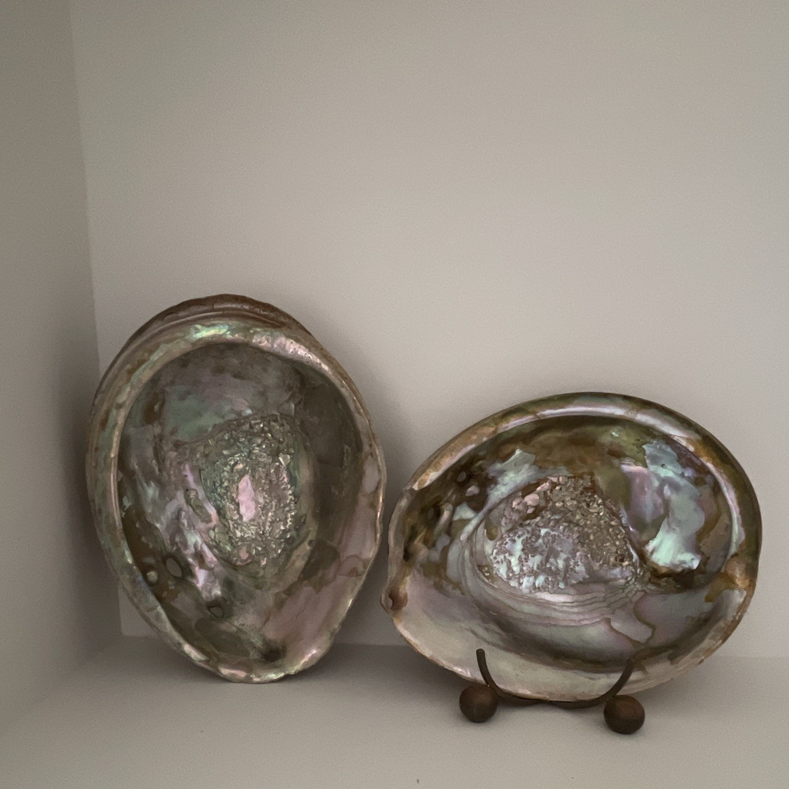 Large Natural Abalone Shells Pair | Iridescent Mother of Pearl Coastal 7.5 inch Large Natural Abalone Shells Pair | Iridescent Mother of Pearl Coastal 7.5 inch