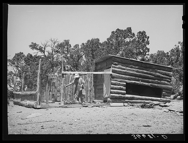 Pie Town New Mexico Mrs. George Hutton Feeding Chickens 1940 Farmyard