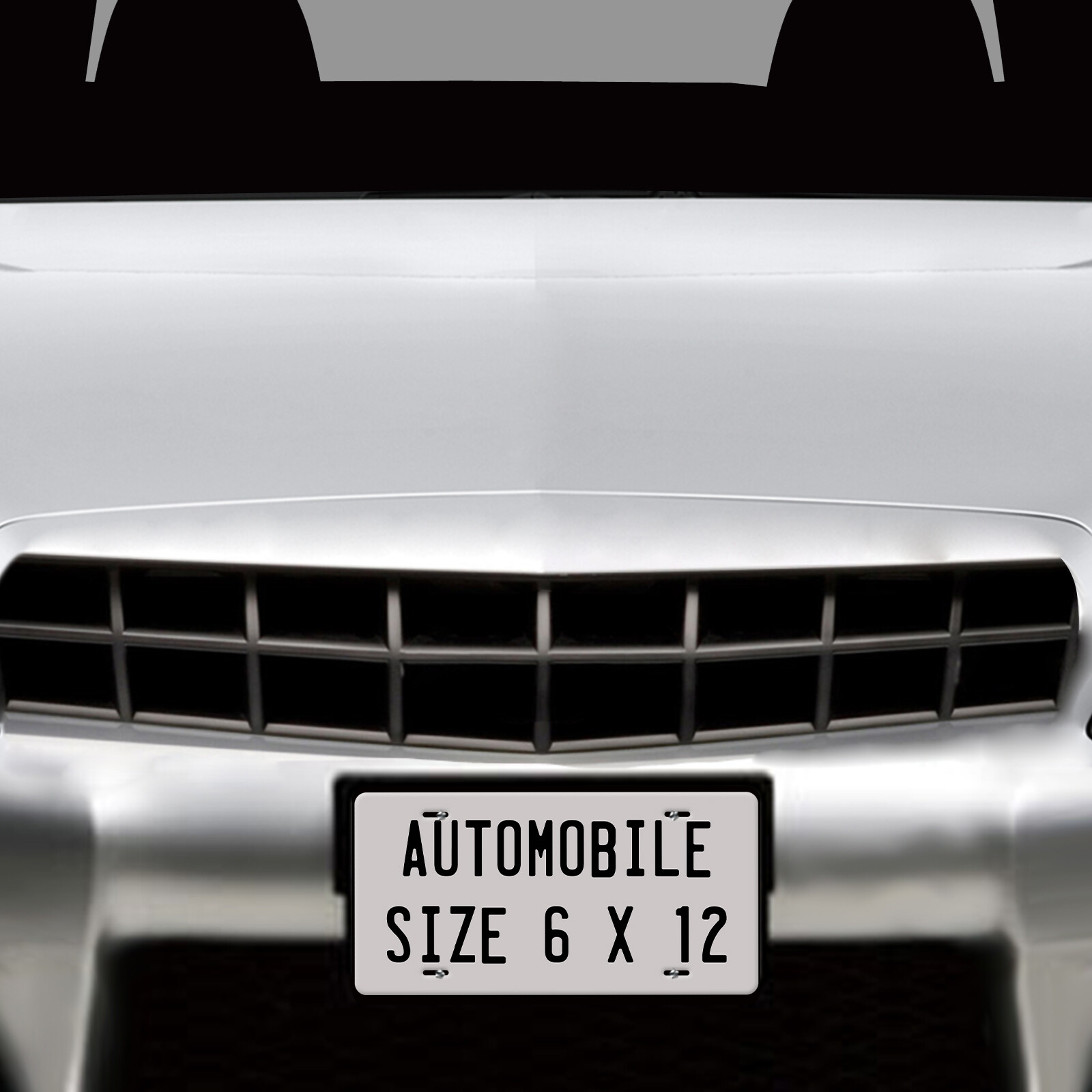 Wisconsin State Personalized License Plate Novelty Car ATV bike MOPED Blk & WHT