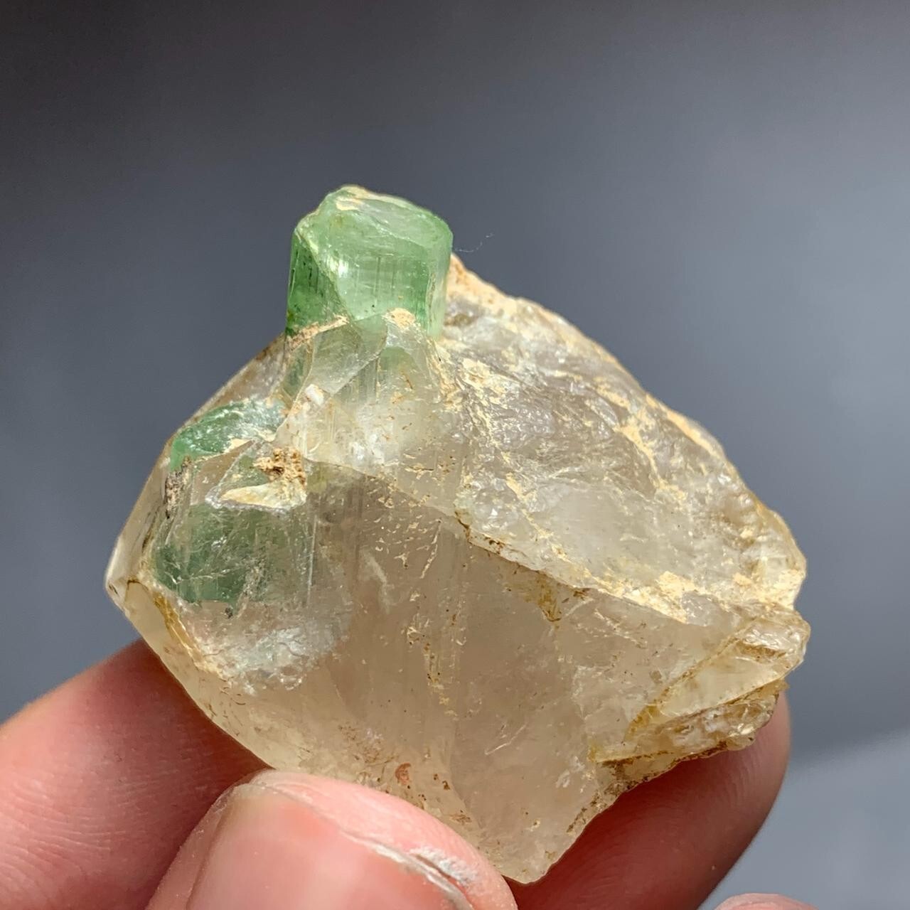 62.30 Carat Tourmaline crystal specimen from Afghanistan