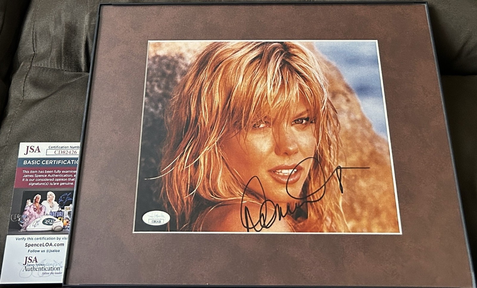Donna D'Errico signed autograph Baywatch 8x10 photo framed JSA Playboy Playmate Donna D'Errico signed autograph Baywatch 8x10 photo framed JSA Playboy Playmate