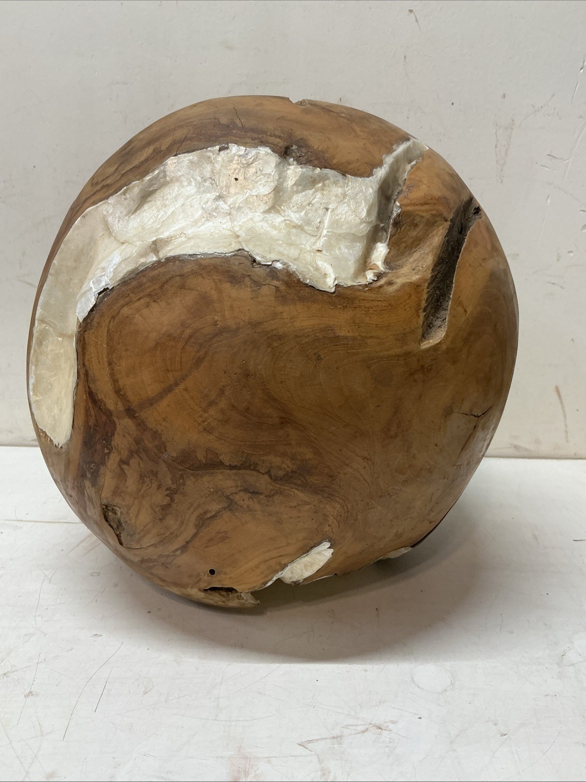 Large 12.5” Teak Root Ball With Shell Inlaid in the Recesses Over 31 Pounds