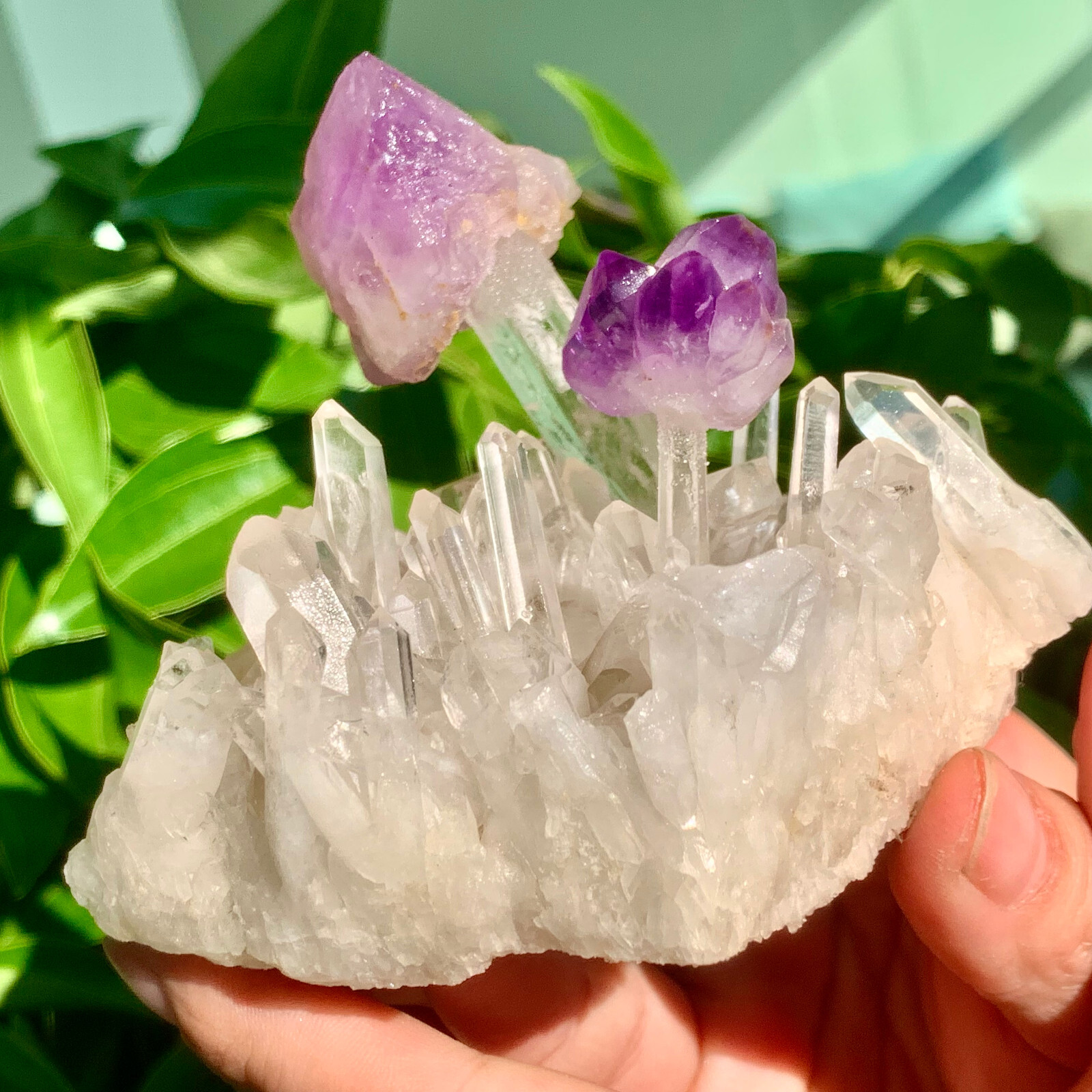 268g  Rare gorgeousAmethyst and Clear quartz Cluster crystal Symbiotic Specime