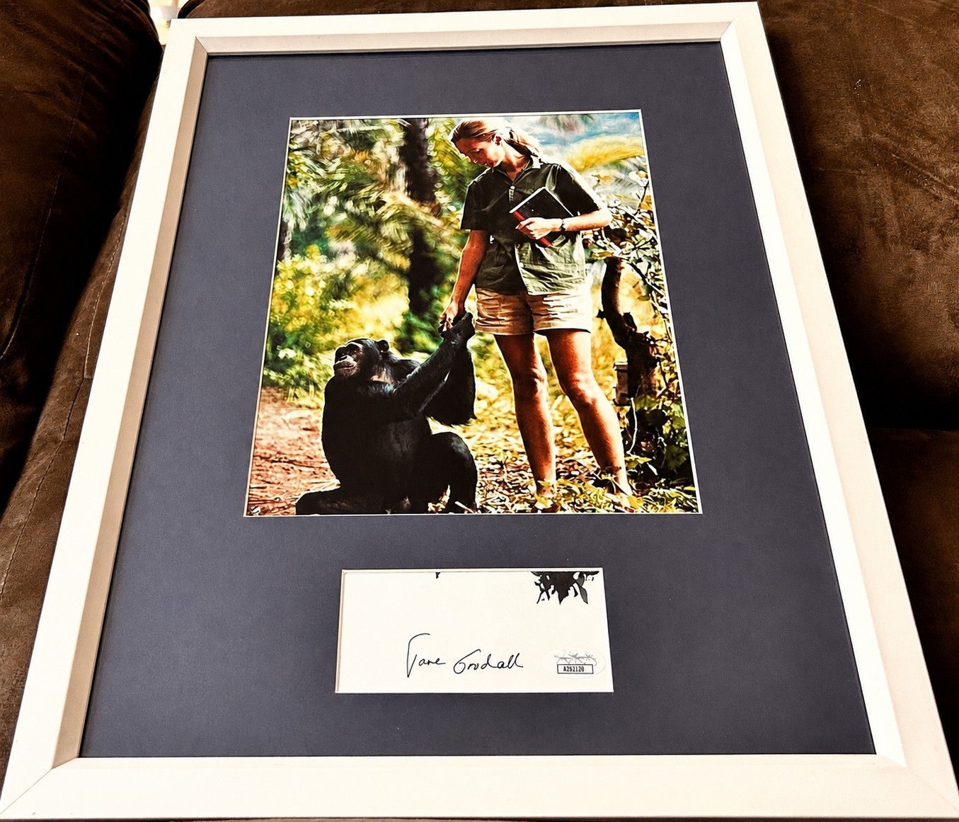 Jane Goodall cut signed autograph custom framed w/ vintage 8x10 chimps photo JSA Jane Goodall cut signed autograph custom framed w/ vintage 8x10 chimps photo JSA