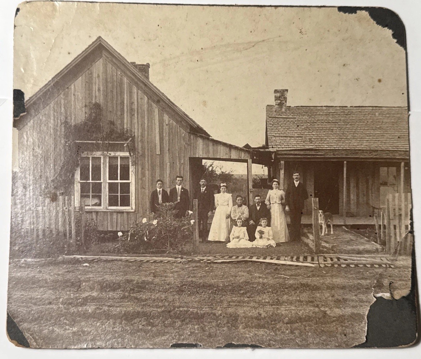 1890s WEDDING w DOG Family antique Photo GROUP Men Women Dresses House Fence 1890s WEDDING w DOG Family antique Photo GROUP Men Women Dresses House Fence