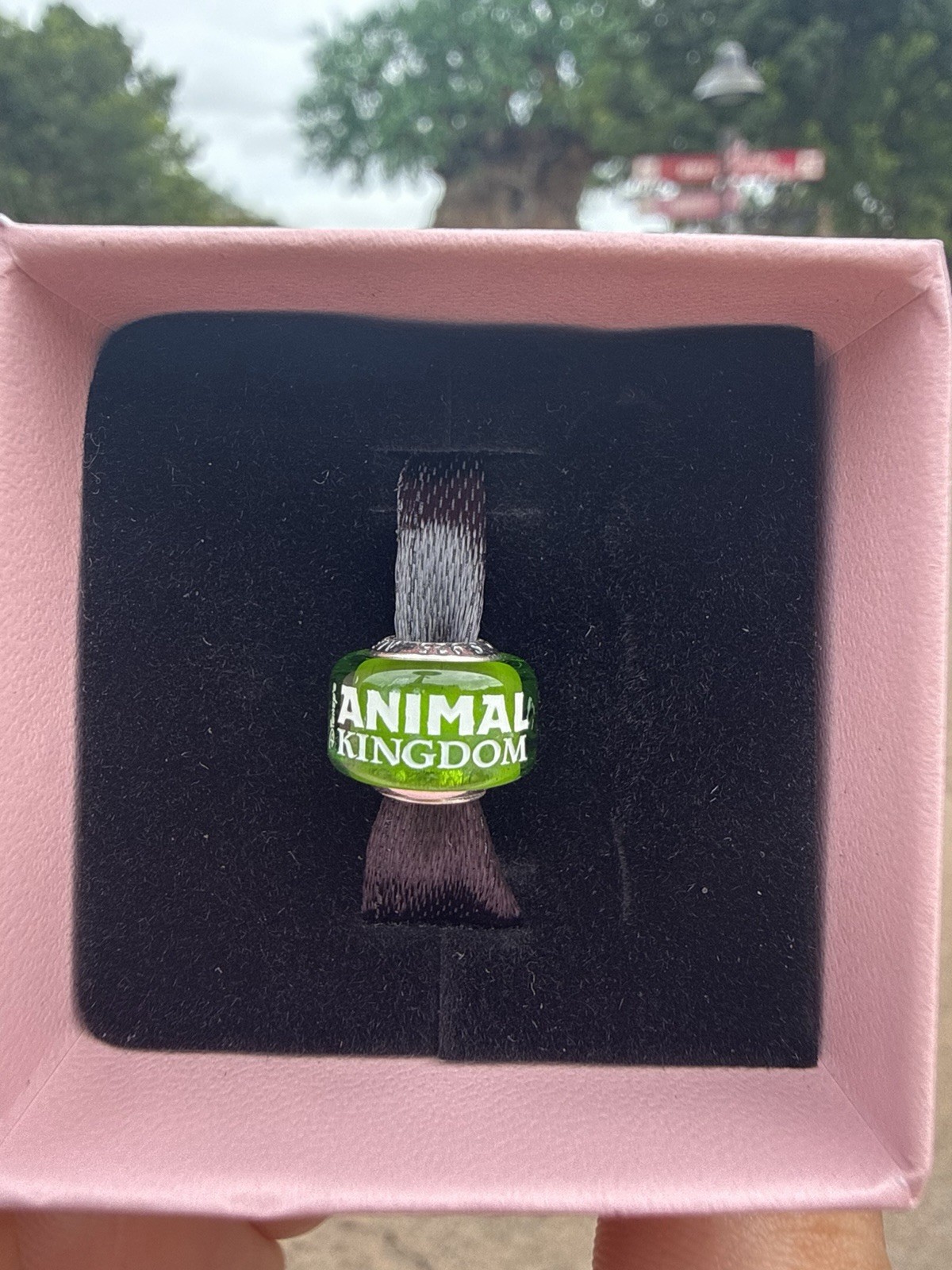 Disney Parks 2026 Pandora WDW 55th Anniversary Animal Kingdom Murano Glass Charm Disney Parks 2026 Pandora WDW 55th Anniversary Animal Kingdom Murano Glass Charm