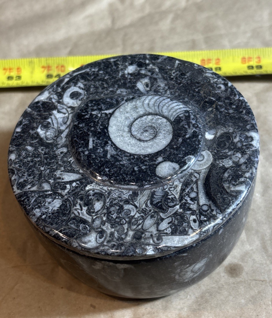 4” X 2 1/2” Round Ammonite Box