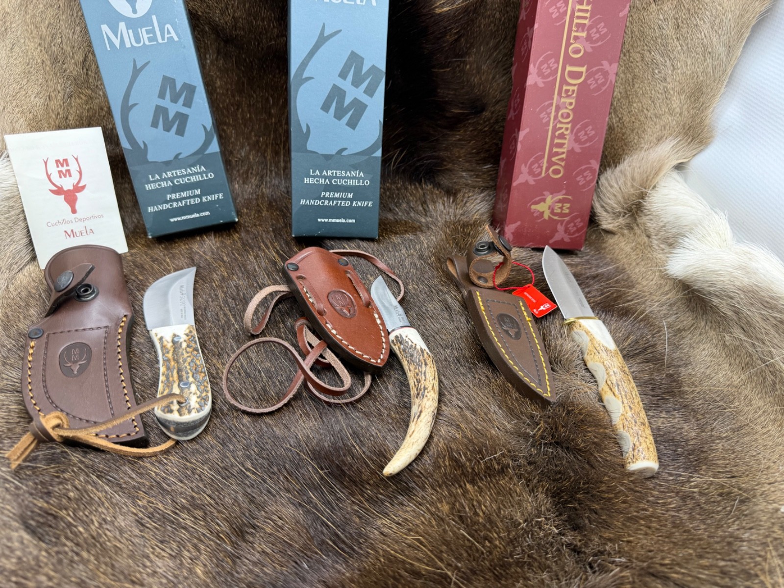 Three (3) Muela Colbri, BW-6C, & Gazapo  Knives With Sheaths Mint In Boxes +++