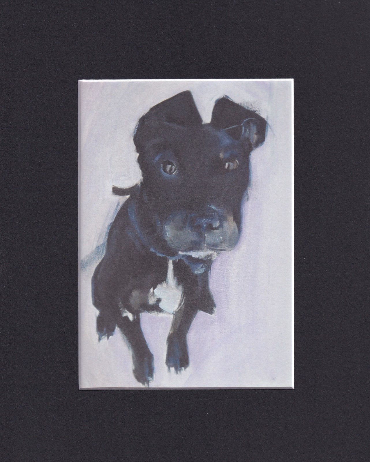 8X10 Matted Print Art Picture, Dog: Sally Muir, Toki