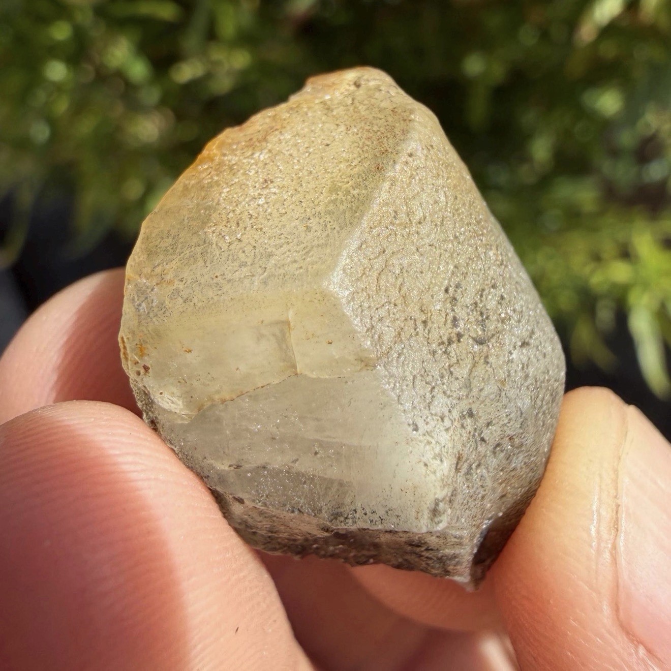 Golden Brazilian Phenacite Crystal: High-Vibration Gemstone, 16.46g/82.3ct