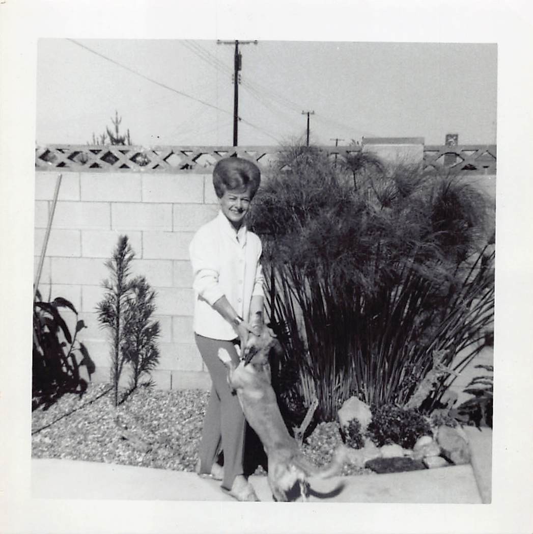 1965 Pretty Woman Big Beehive Bouffant Hair 1960s Photo Playful Puppy Dog Smile