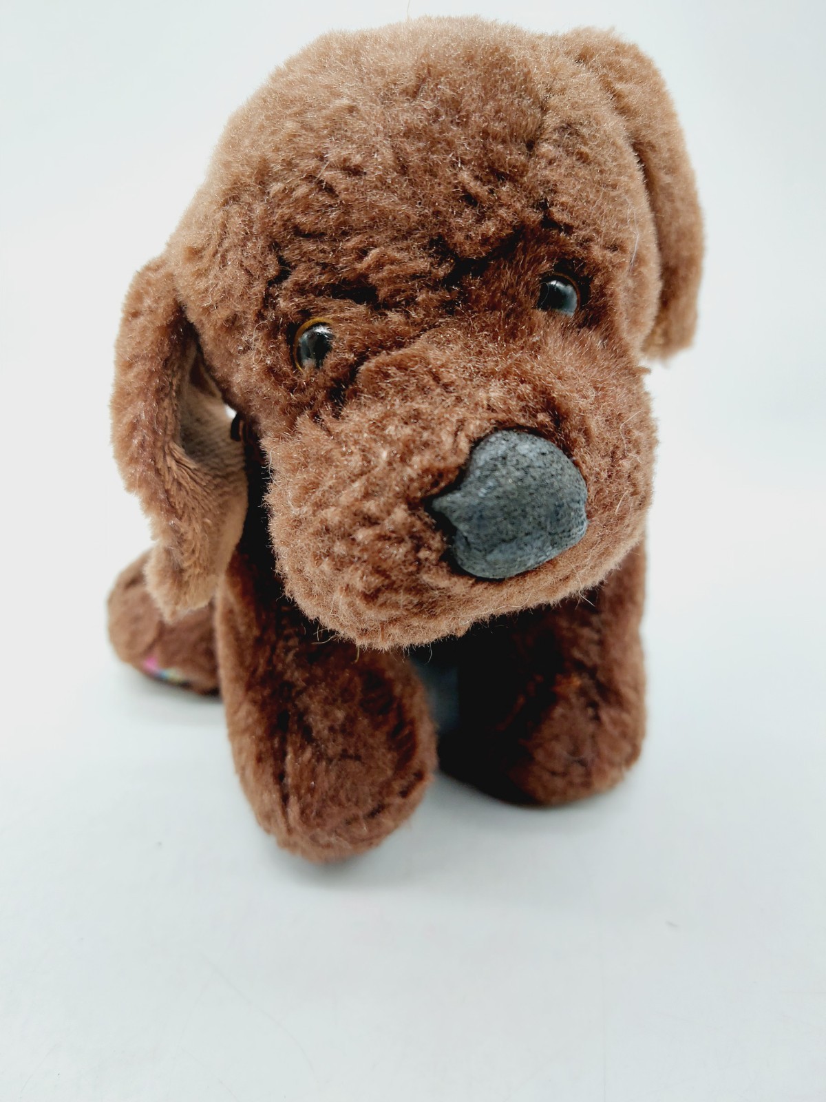 Ganz Webkinz Chocolate Lab Dog Plush Stuffed Animal No Code Retired 9”