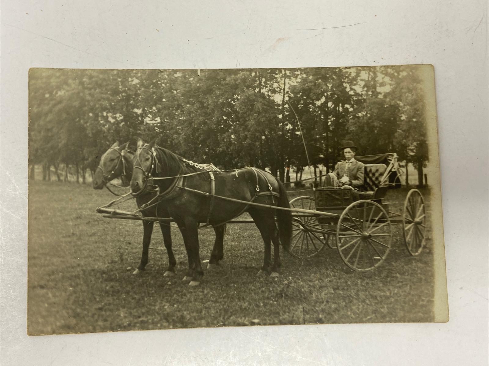 Real Photo Horses Carriage Dapper Man Postcard RPPC Unknown Location