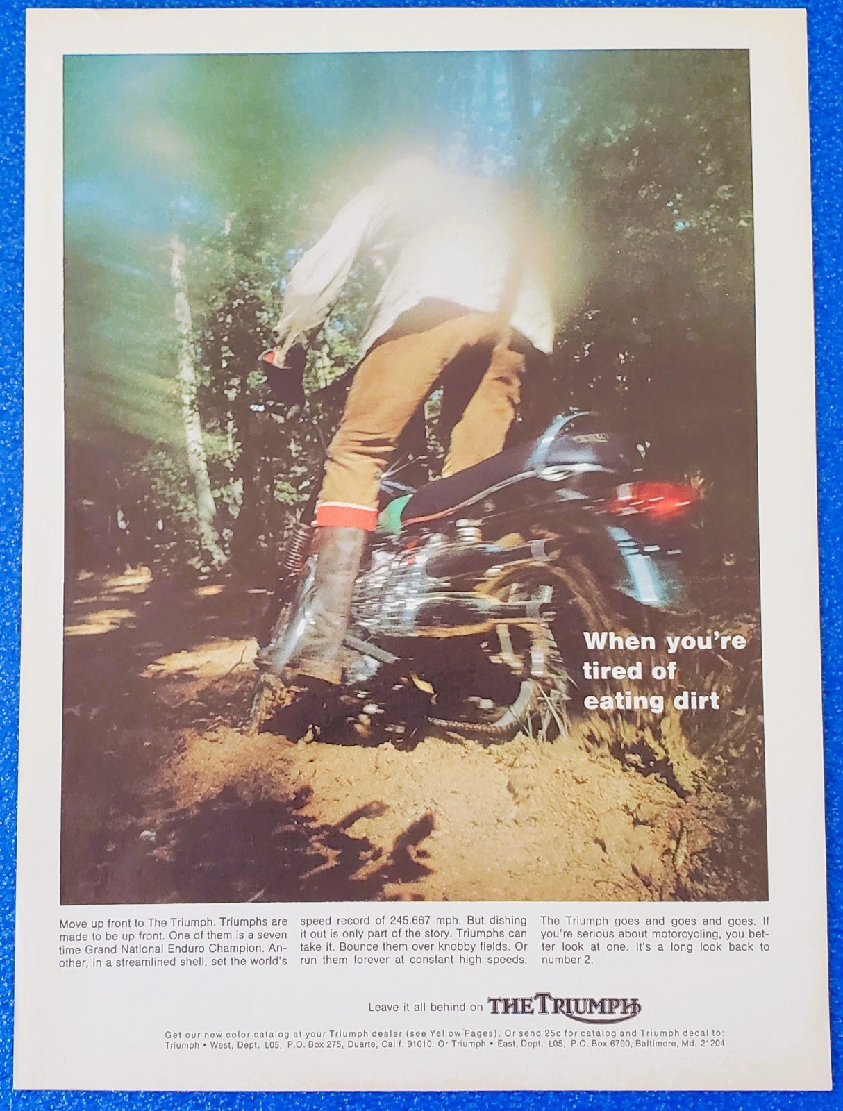 1967 Triumph TR6C Trophy Ad 650cc Scrambler Hot Rod Era Biker Wall Art Gift UK