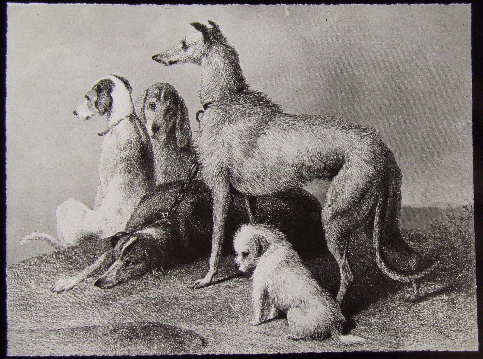 Glass Magic Lantern Slide WAITING C1900 ART LANDSEER