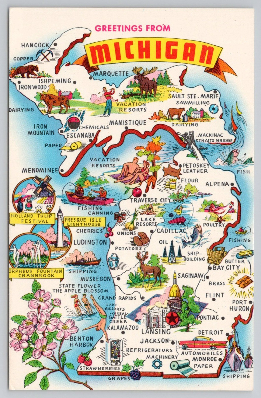 Greetings From Michigan Wolverine State Postcard #0869