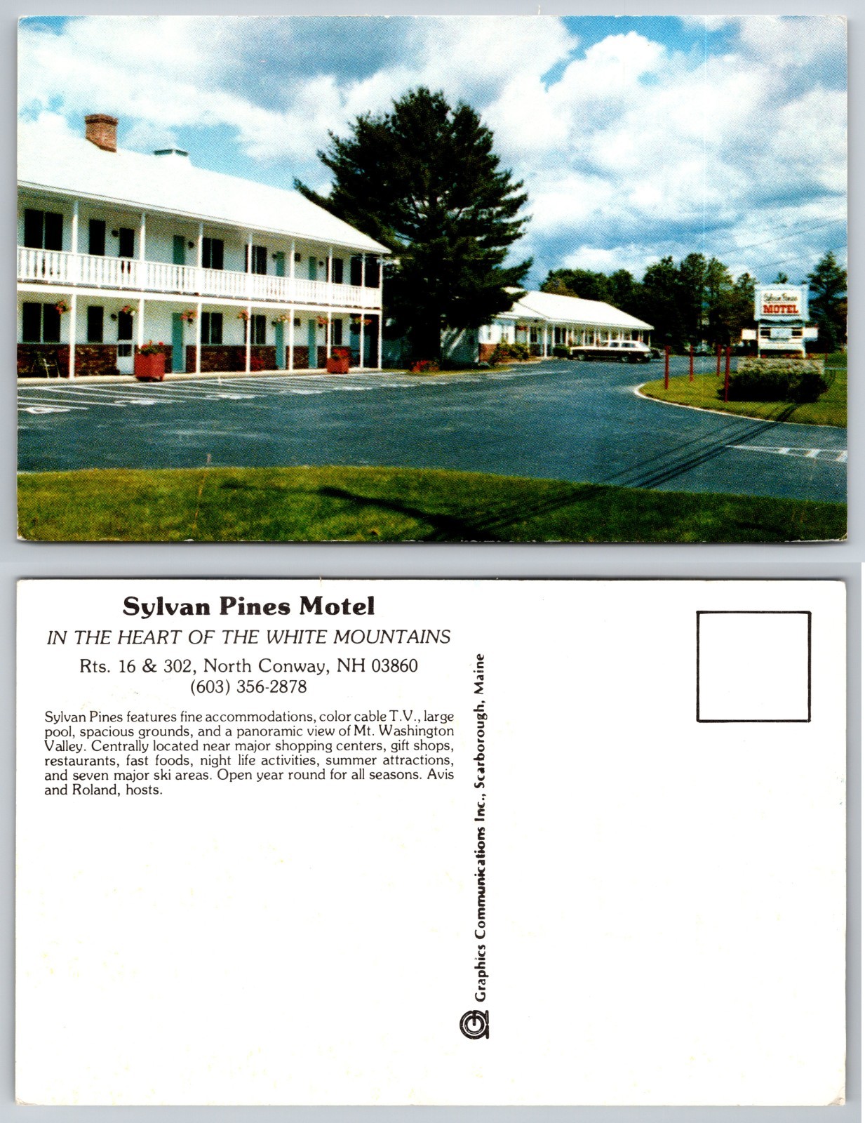 Sylvan Pines Motel North Conway NH Postcard