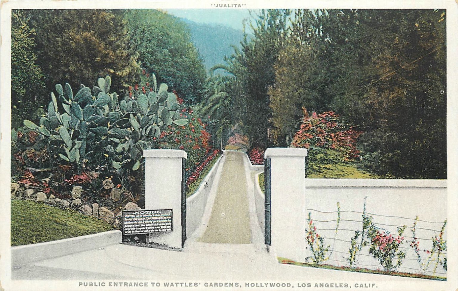Vintage Phostint Postcard Wattles' Gardens Hollywood Los Angeles California Vintage Phostint Postcard Wattles' Gardens Hollywood Los Angeles California