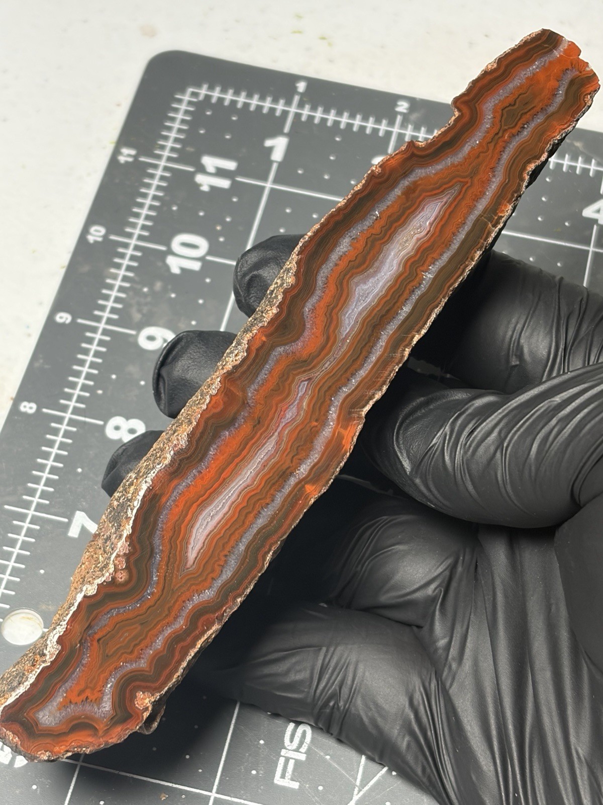Stunning Condor Seam Agate Banding Quartz Polished Specimen Stunning Condor Seam Agate Banding Quartz Polished Specimen