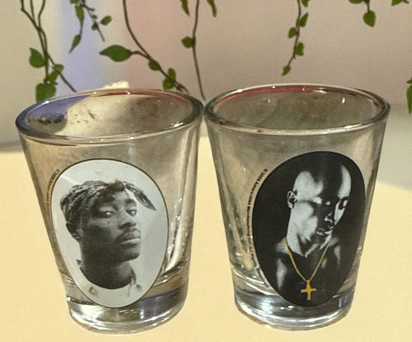 Tupac 2Pac Shot Glasses Set 2 Hip Hop Rap Barware Memorabilia Collectible 2008 Tupac 2Pac Shot Glasses Set 2 Hip Hop Rap Barware Memorabilia Collectible 2008