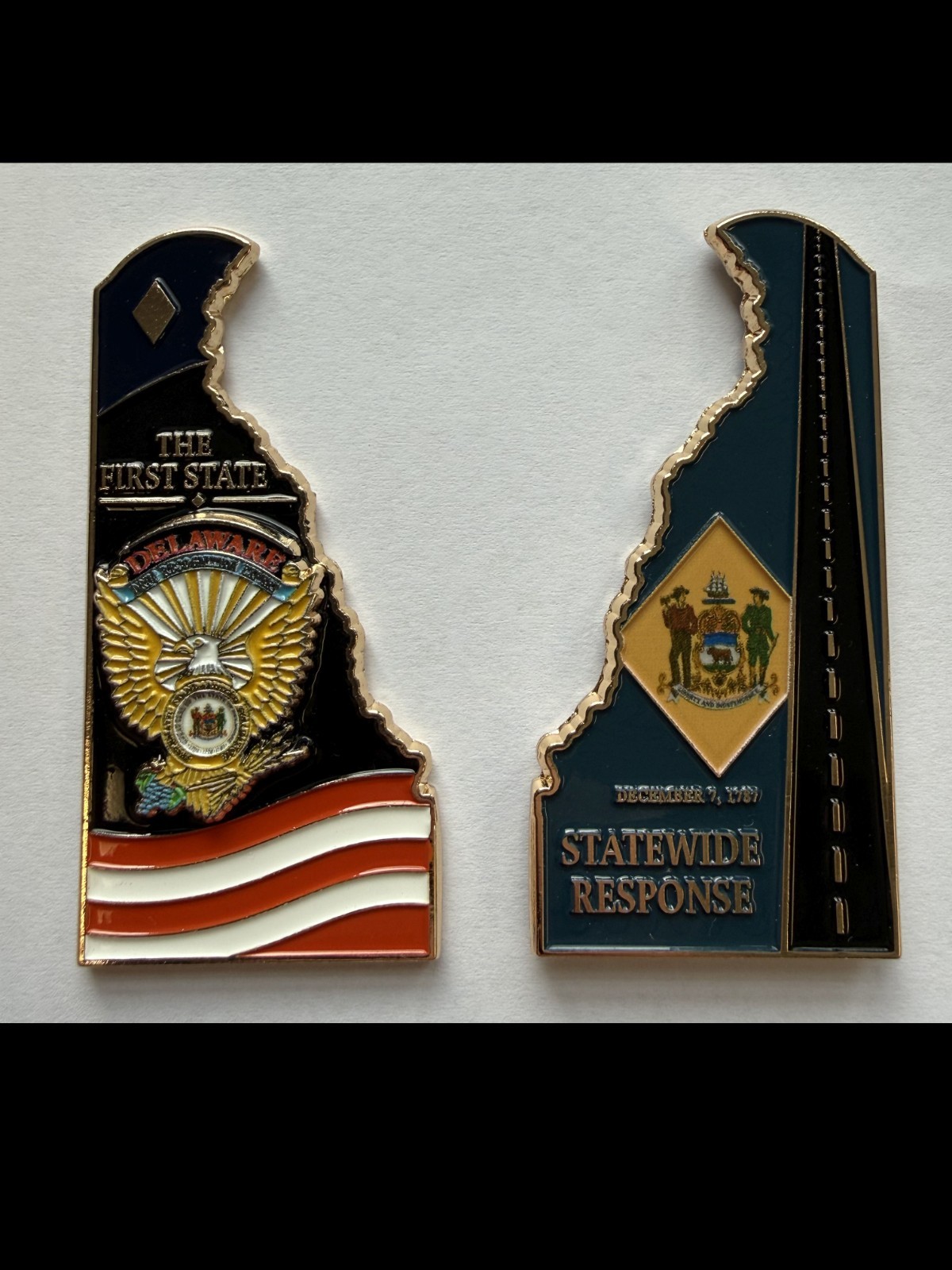 Delaware Drug Recognition Expert DRE Challenge Coin-New Aug, 2026-FREE Shipping Delaware Drug Recognition Expert DRE Challenge Coin-New Aug, 2026-FREE Shipping