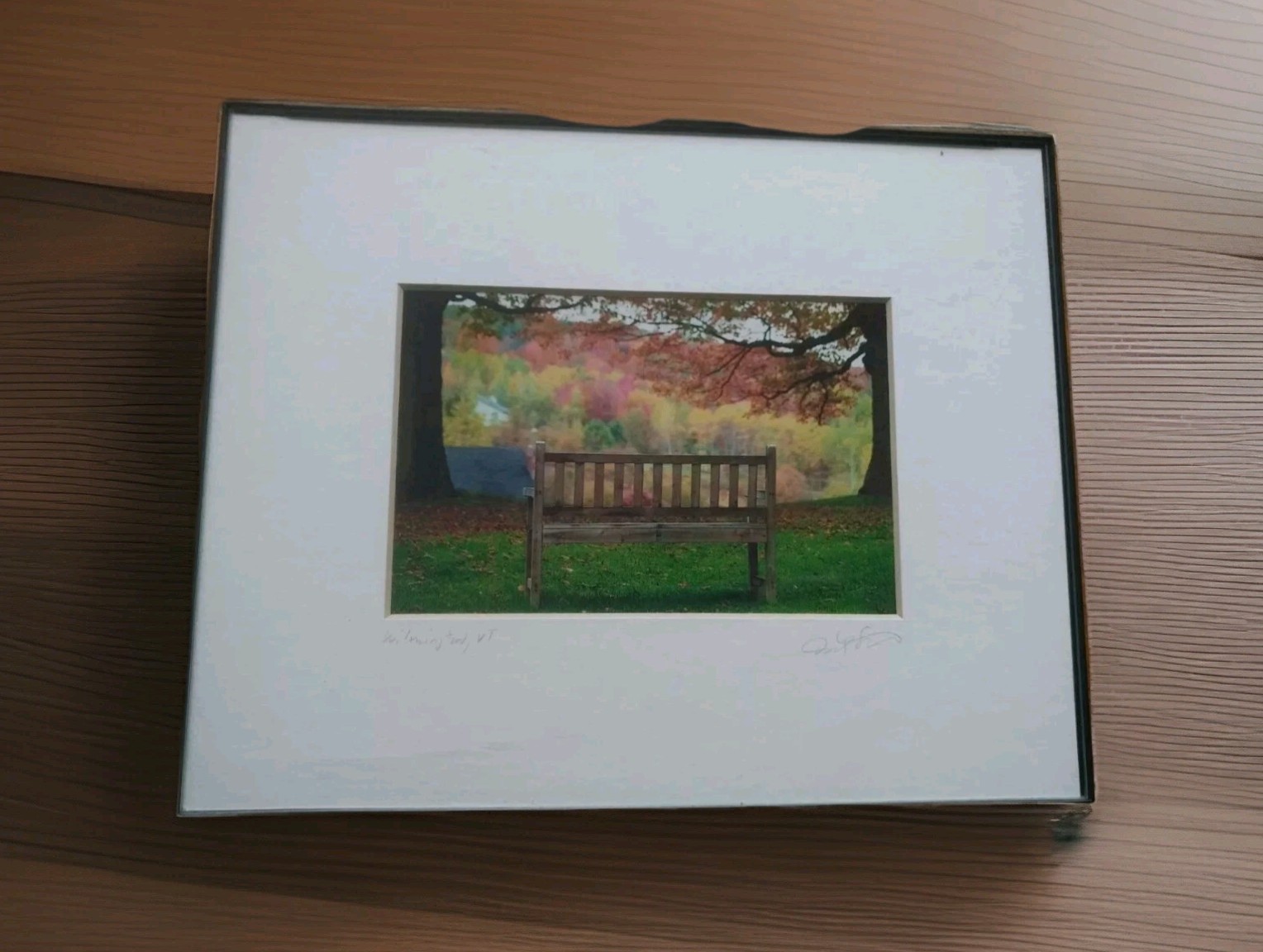 David Stern Fine Art Photography Brookline MA 